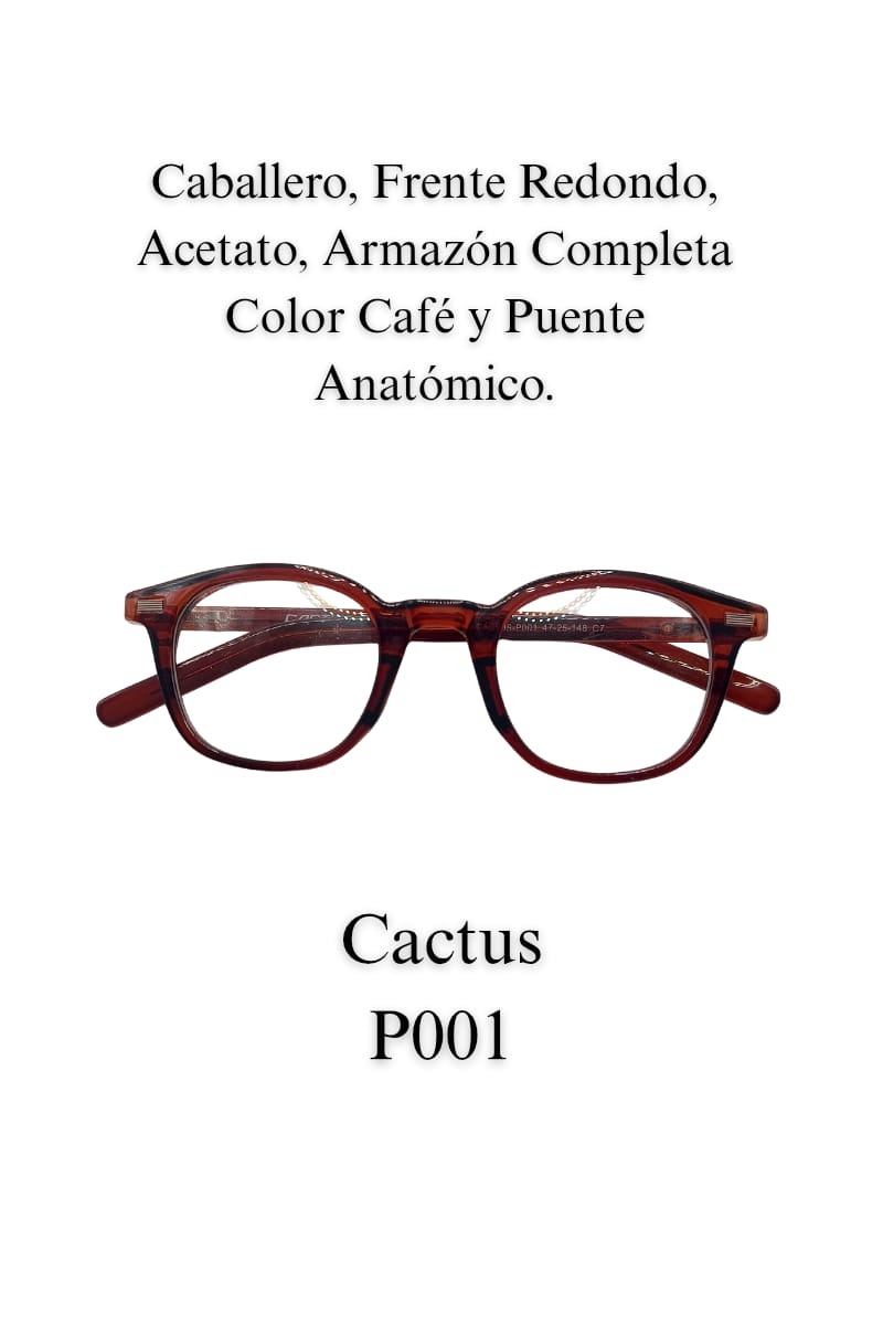 Casual LENTE CACTUS P001 Caballero