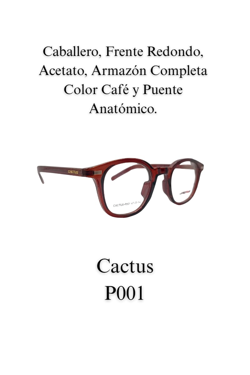 Casual LENTE CACTUS P001 Caballero