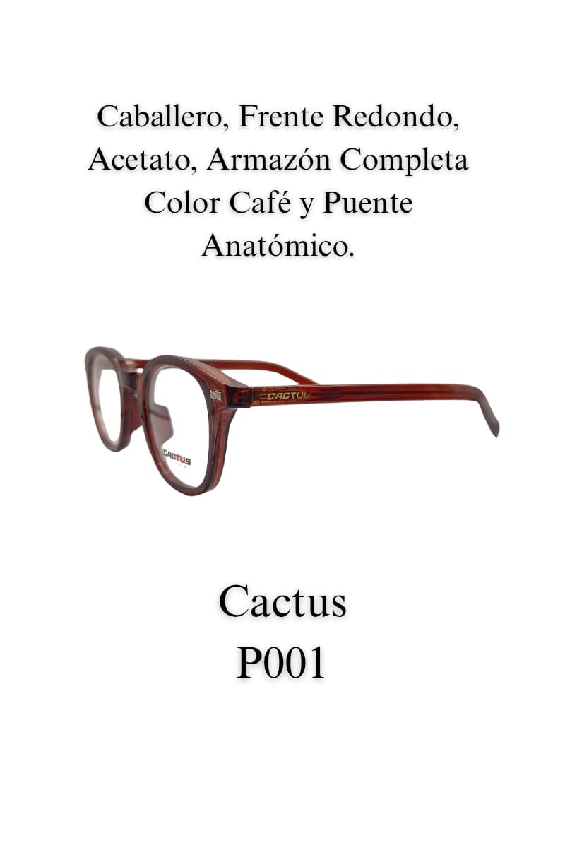 Casual LENTE CACTUS P001 Caballero