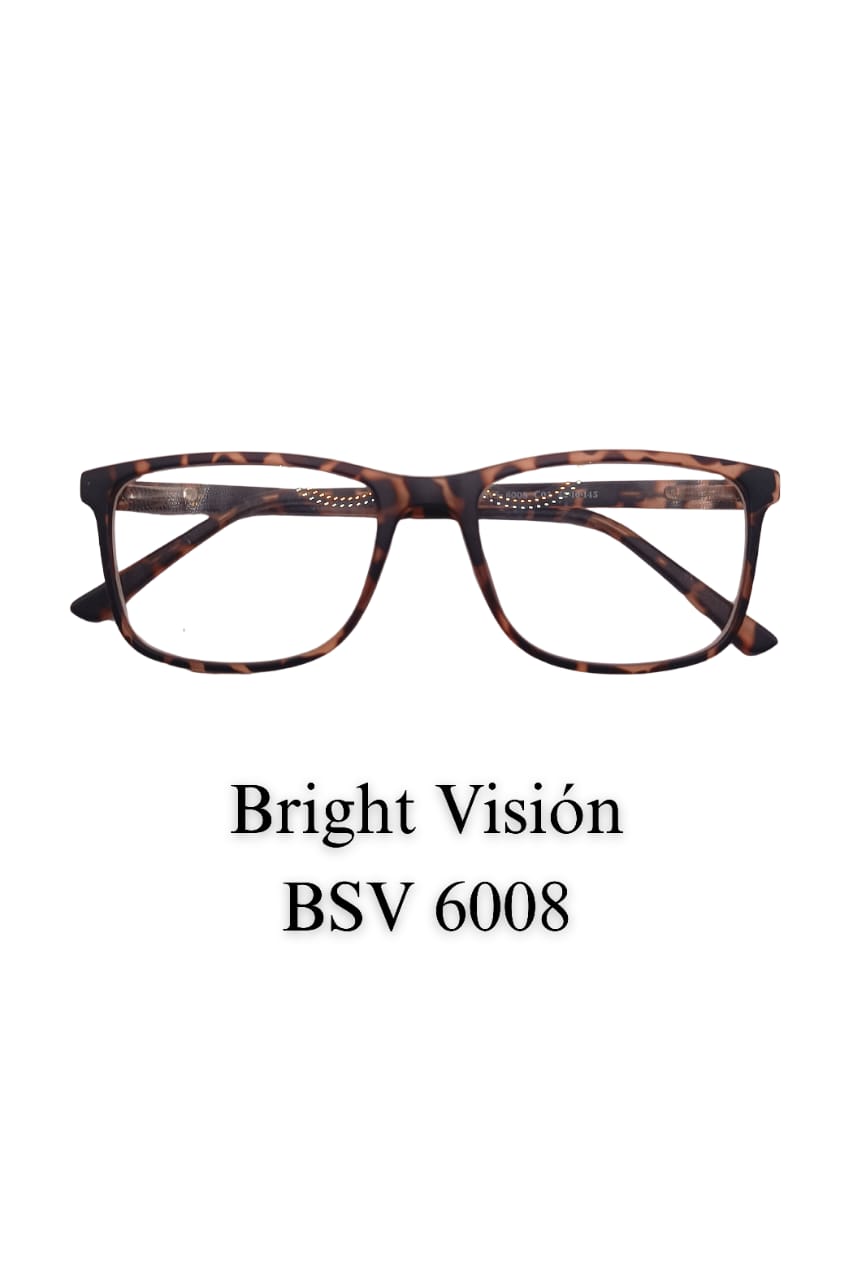 BRIGHT VISION BSV 6008  Caballero