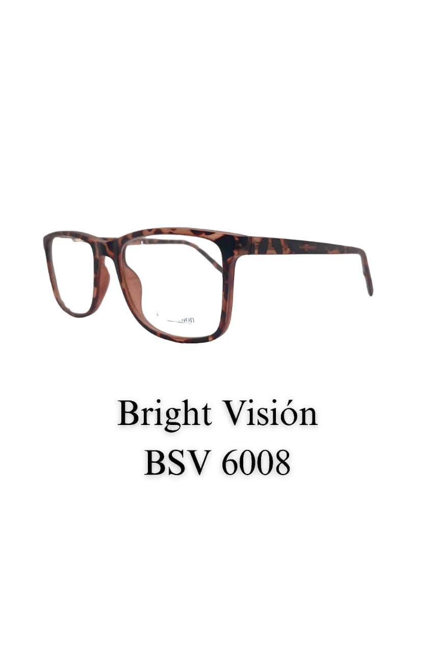 BRIGHT VISION BSV 6008  Caballero